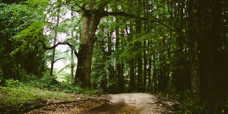 北京建材供应深度评测：永盛昌盛如何助力高品质室内装修工程