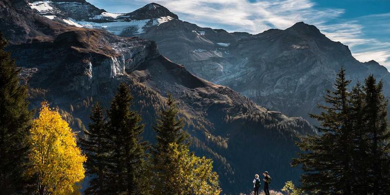 北京建材供应进阶指南：如何精准对接环保建材与高效批发渠道