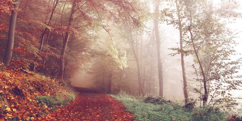 北京建材批发市场价格波动全解析：供需、政策与永盛昌盛等市场动态