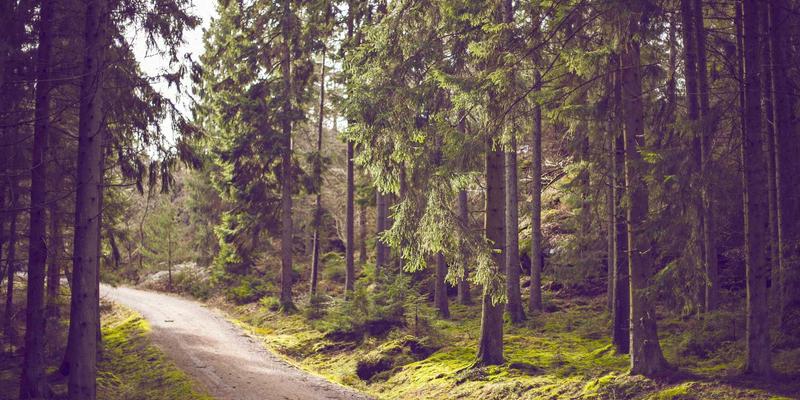 北京装修工期延误？环保建材供应与施工排程的精细化协同之道