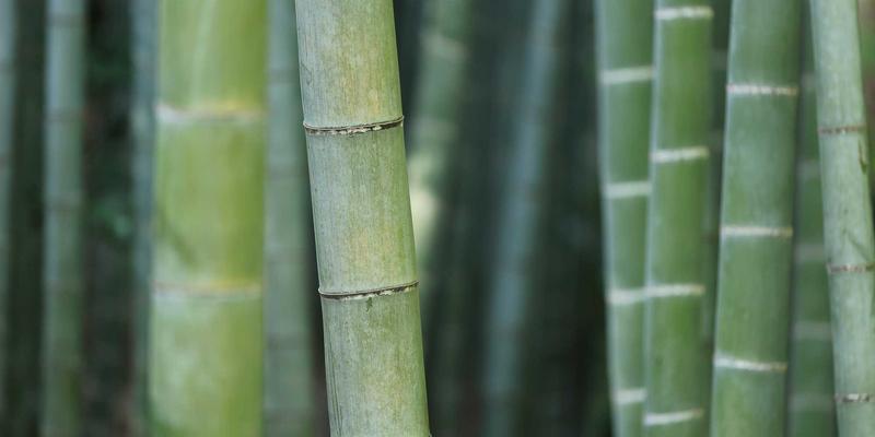 绿色建造新标杆：北京重点工程如何通过环保建材实现高质量交付——以永盛昌盛供应体系为例